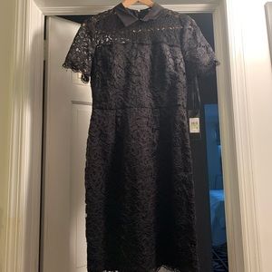 Karl Lagerfeld Lace Pointed Collar Dress Size 4